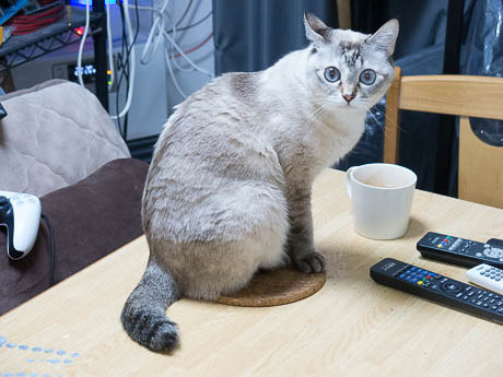 250215-IMG_0488.jpg